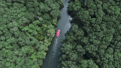 Vista-Aérea-De-Un-Bote-Pequeño-En-El-Río,-Rodeado-De-Bosque-Por-Ambos-Lados