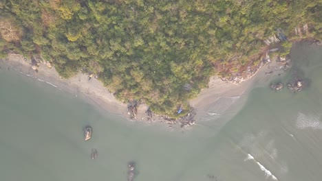 isla exuberante cerca de la playa de palolem en canacona, goa, india