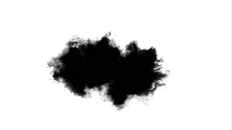 ink transition spreads stroke white screen fluid art drop texture platter blot painting animation