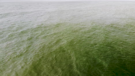 toma aérea de olas tranquilas ondeando en el océano hasta que un delfín salta a través de la superficie