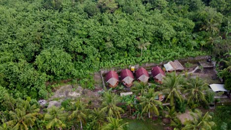 Eco-friendly-Huts-and-cottage-bungalows-amid-lush-forest,-Nusa-Penida
