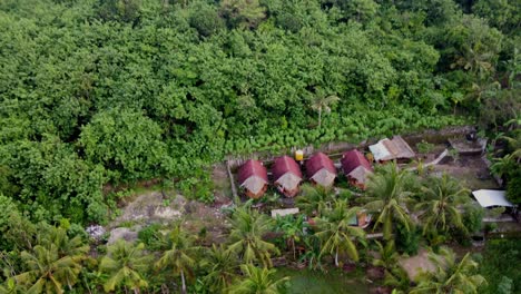 huttes et bungalows écologiques au milieu d'une forêt luxuriante, nusa penida