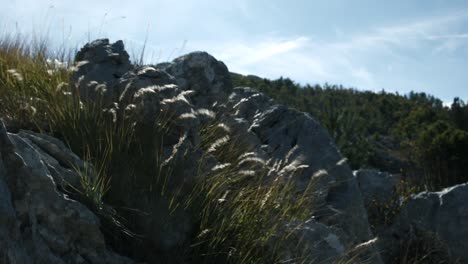 rocky mountainside with grass