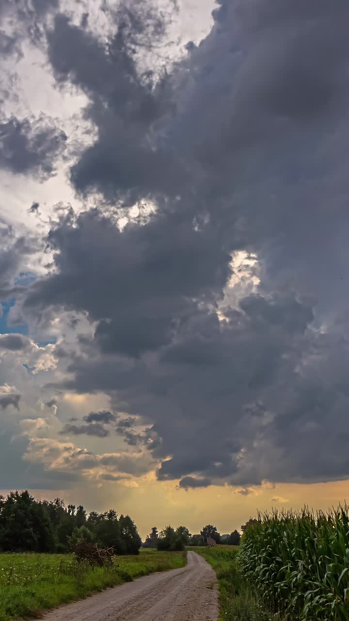 Vertical time lapse of a massive dark storm cloud forming and towering over a rural dirt road and green corn field with a golden sky on the horizon