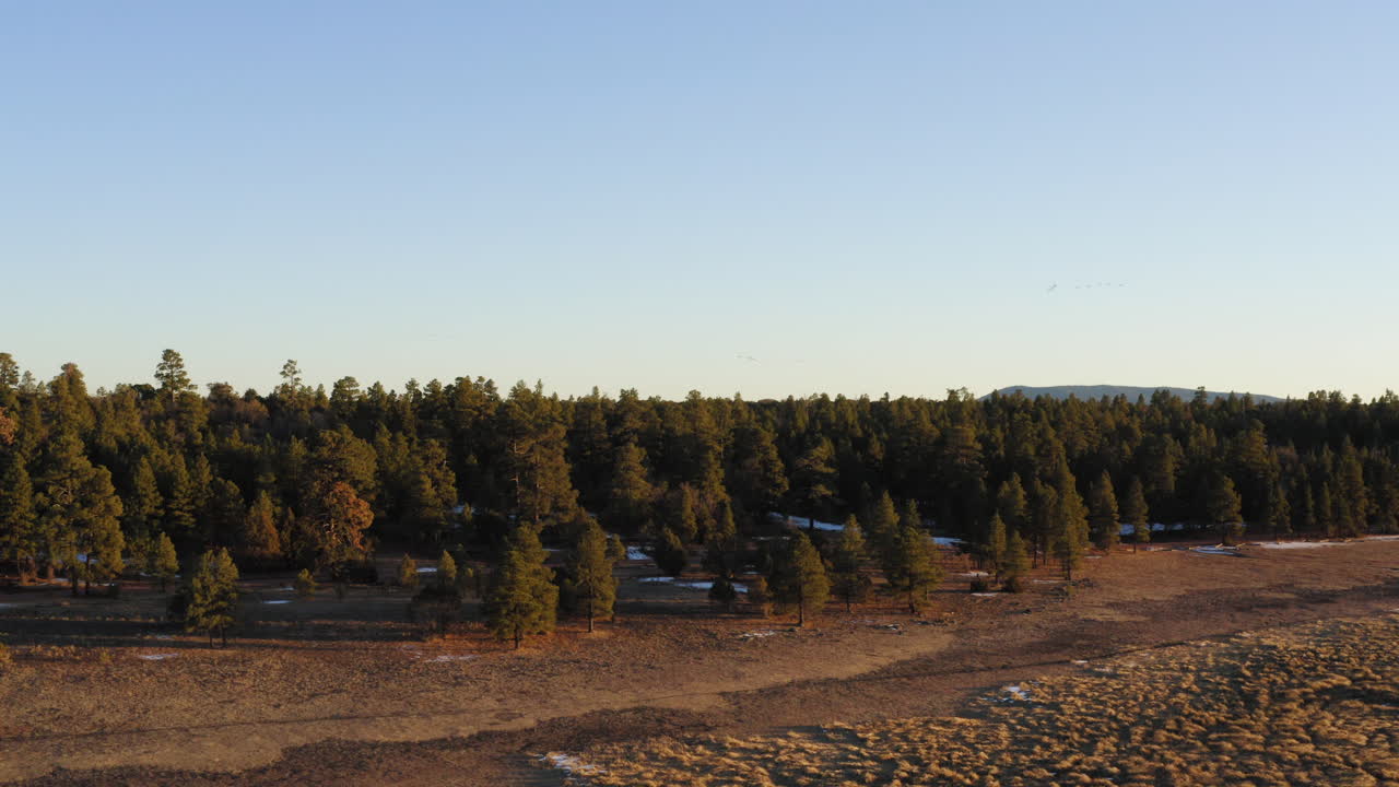 애리조나에서 일몰 동안 공중 비행 조명 마른 마샬 호수와 녹색 침엽수 나무