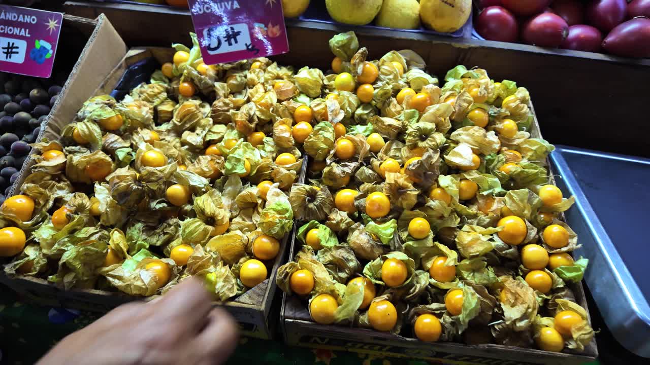 Uomo tiene uchuva in un contesto di mercato, con zoom indietro per mostrare abbondanza.