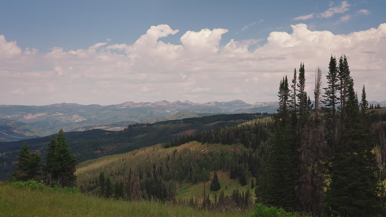 las nubes hacen sombra sobre las montañas del bosque soleado.