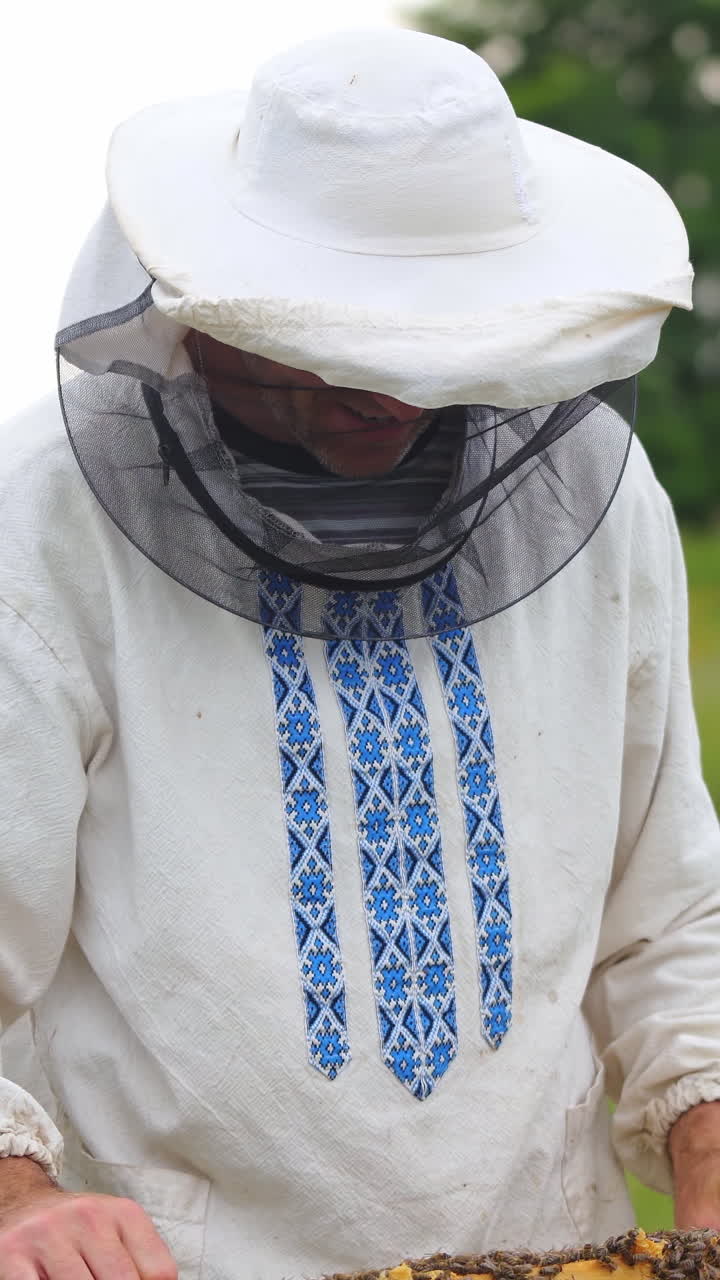 Serious beekeper inspects honeycomb with many bees on it. Man in protective hat and national clothes holds wooden frame in hands. Vertical video