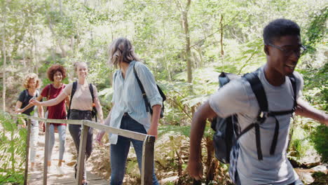 group of young friends hiking through countryside crossing wooden bridge together