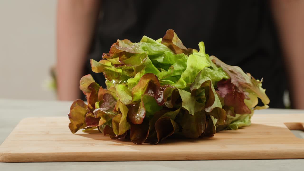 Fresh salad green lettuce leaves on white background close up macro, vegan food.