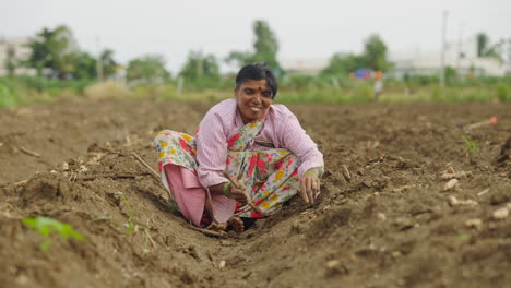 indian farmer in field