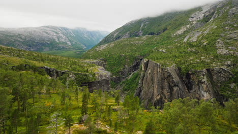 pine trees in the mountain with hellmojuvet canyon in northern norway