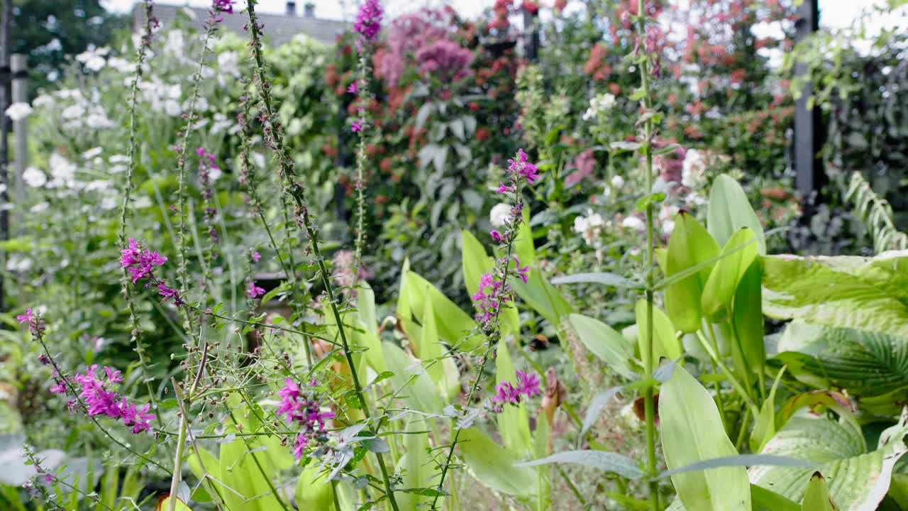이 아름다운 정원에서 수분하는 벌