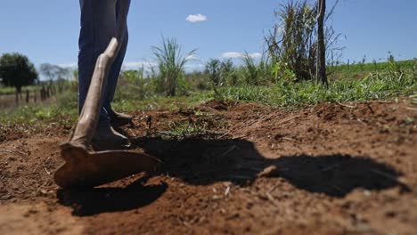 brazilian farmer uses a hoe to till the dry dirt of a crop field during a major drought in brazil