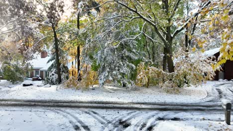 nieve que se derrite densamente en los árboles después de la tormenta de nieve de halloween
