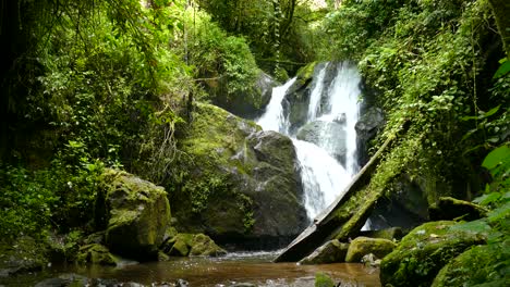 Close-up-of-a-waterfall-in-a-tropical-forest-surrounded-by-lush-vegetation-and-moss