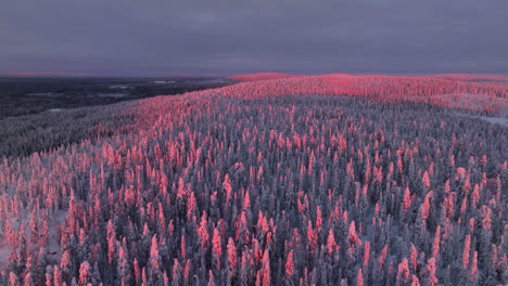 vista aérea sobre las colinas nevadas en el parque nacional de syote, colorido atardecer en finlandia