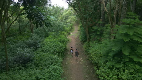 two friends hiking trail in rainforest on maui island, hawaii, usa