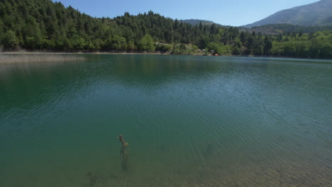 calm lake in middle of national park near shore, greece, lak tsivlou, panning shot