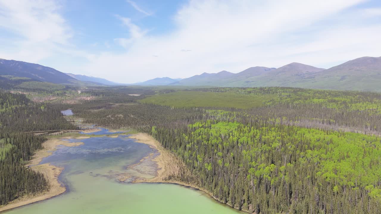 Drone footage of deforestation in the Canadian forest. River running next to the mountains in a village of indiginous tribes