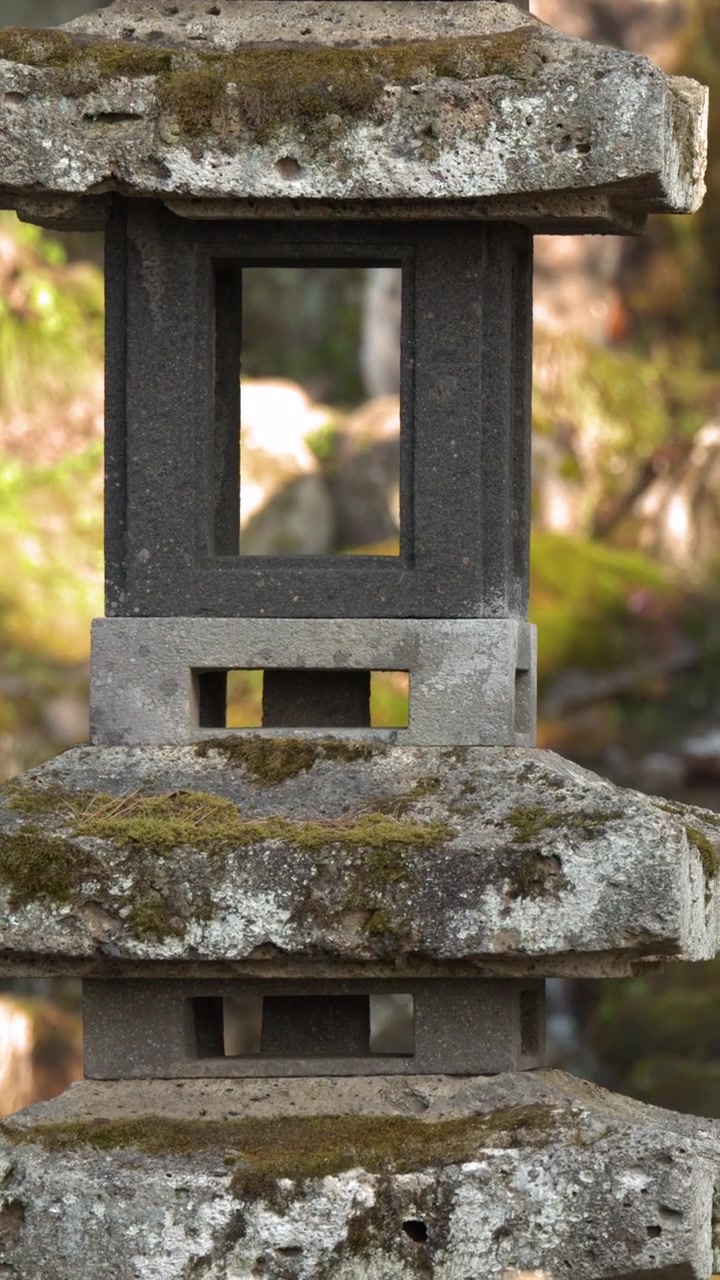 Una lanterna di pietra si erge davanti a una cascata che scorre in un lussureggiante e muschioso giardino giapponese