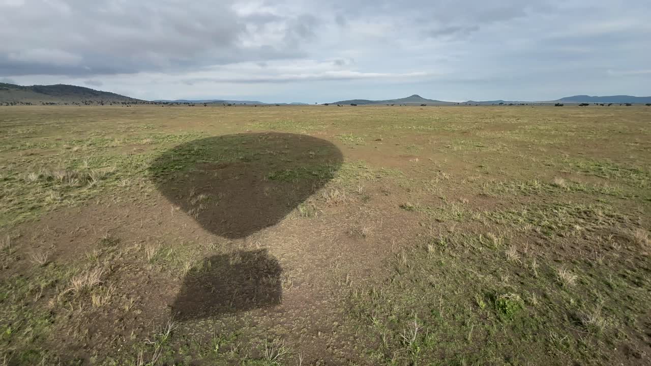 sombra de globo de aire caliente en el suelo en el parque nacional serengeti en tanzania.