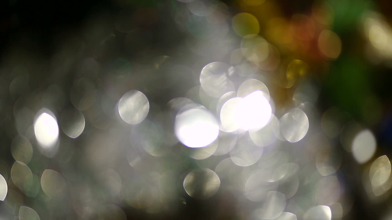 Christmas Decoration On Background. Christmas decorations on the branches fir