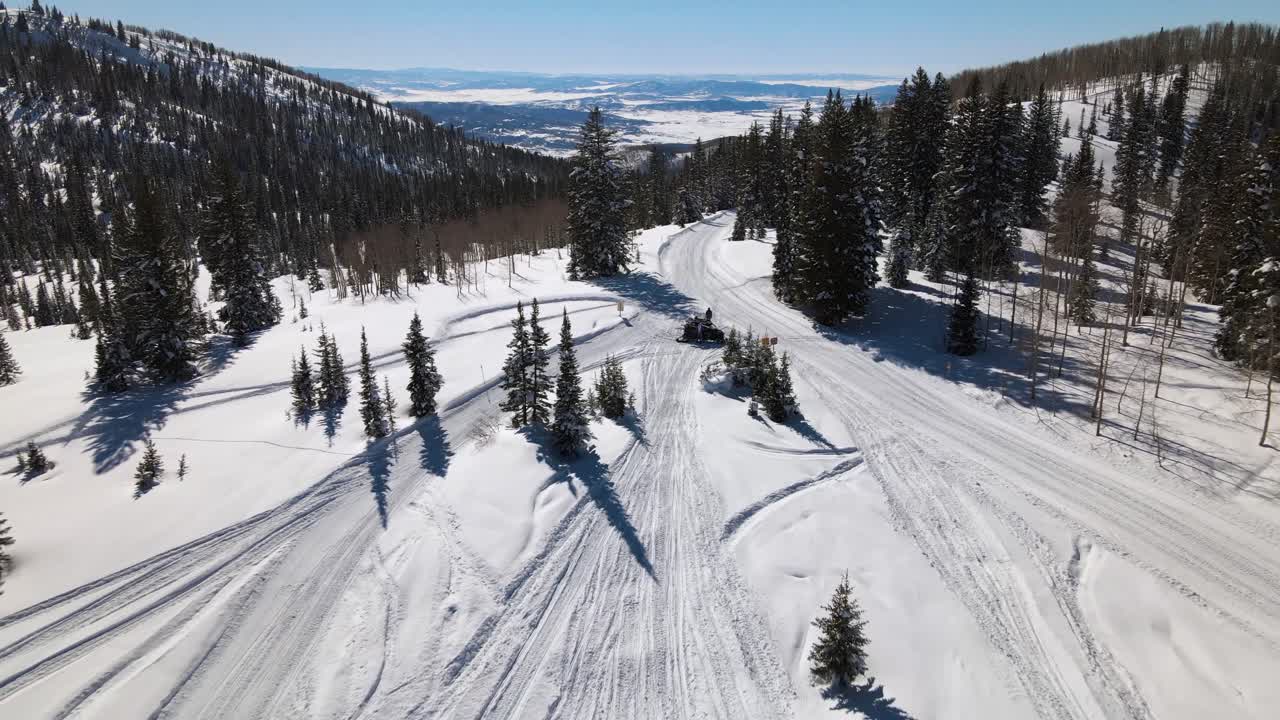 Eccellente vista aerea di un uomo fermo su una motoslitta tra i pini su una montagna
