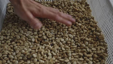 unroasted coffee beans in a basket