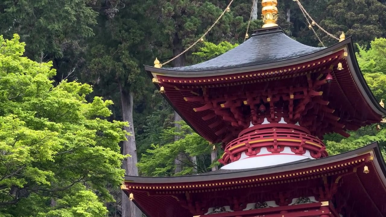 Rød tahōto to-etagers pagode ved Katsuo-ji-templet i Minoh, Osaka, Japan