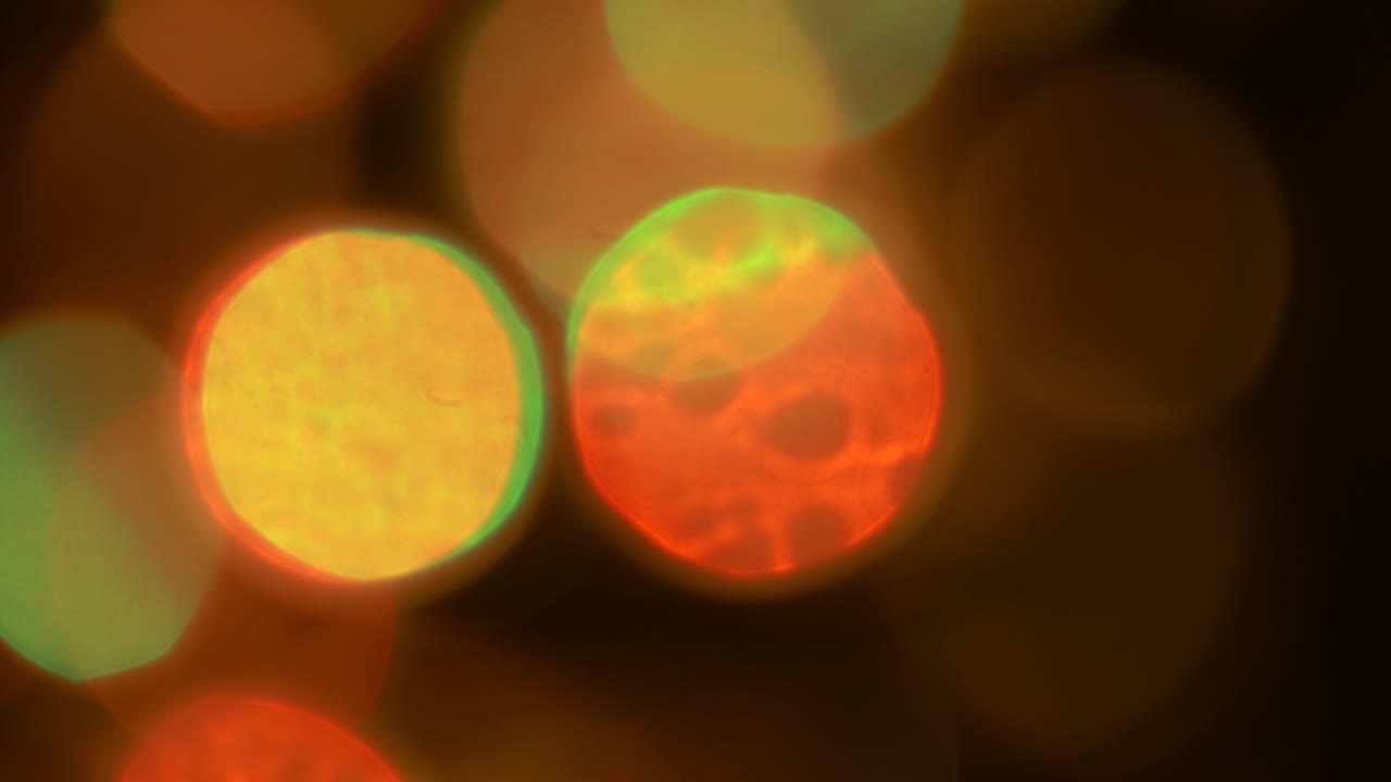 amarillo y naranja círculos de luz borrosa efecto bokeh moviéndose alrededor