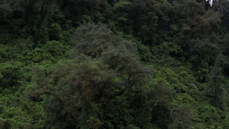 Medium-aerial-shot-of-the-green-hills-of-Tafi-del-Valle,-Argentina,-tilt-down