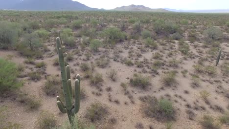 Gilbert-Ray-Campingplatz-In-Der-Sonora-Wüste-Von-Arizona