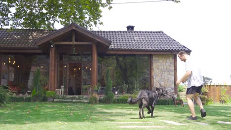 teenager playing with his dog.