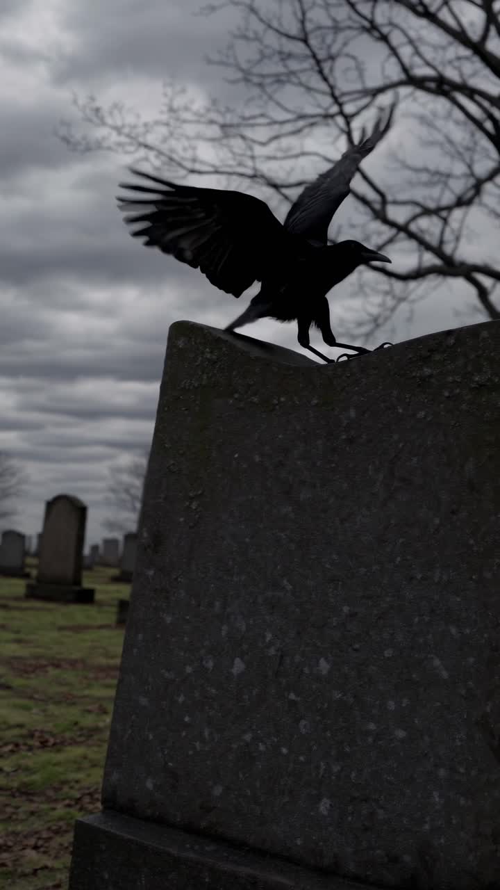 Fermo immagine inquietante di un cimitero con un'inquadratura dal basso, che cattura un corvo in volo contro un cielo nuvoloso