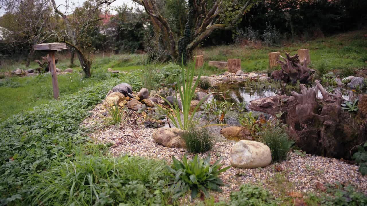 un pequeño río natural en un jardín ecológico