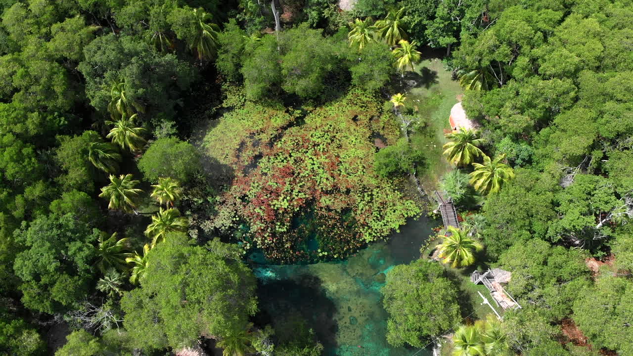 el remate reserva natural campeche calkini mexico obit drone agua dulce