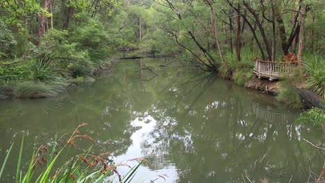 agua tranquila del río margaret y el banco de los amantes desde el mirador del sendero del río