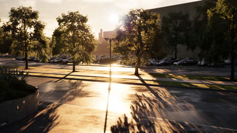 sunset over a parking lot with cars and trees