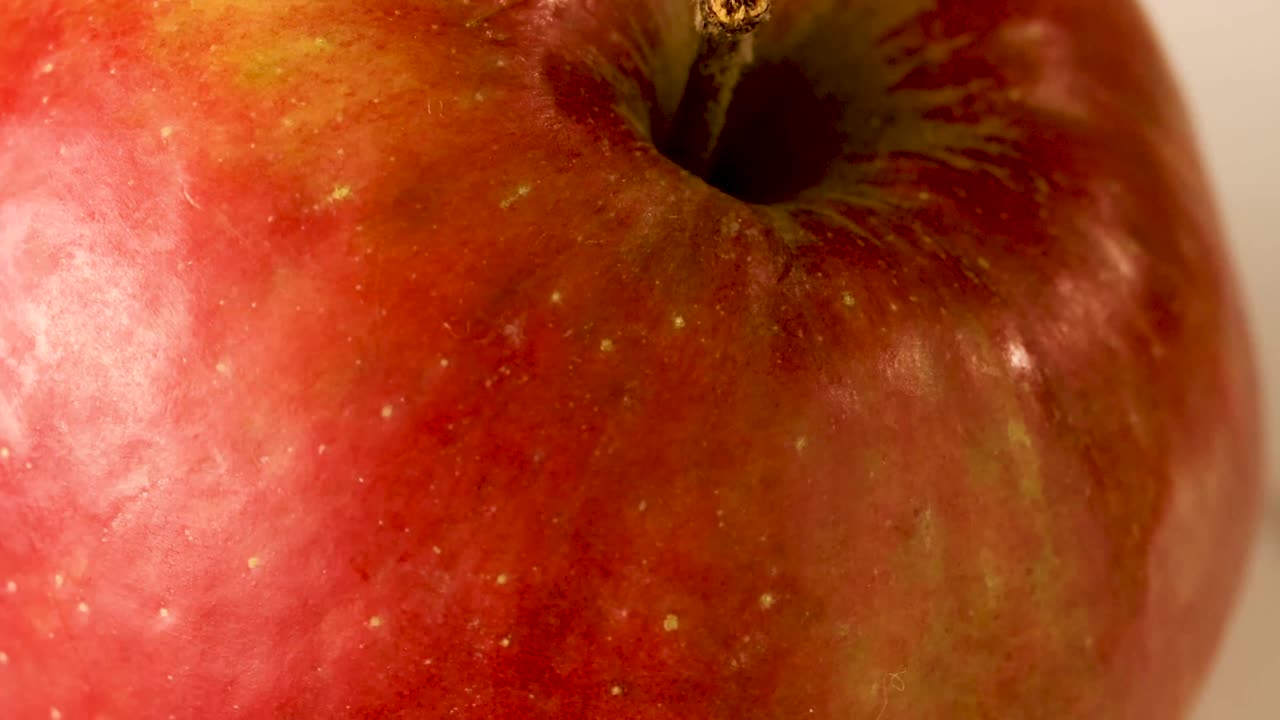 Product shot of the top of an apple