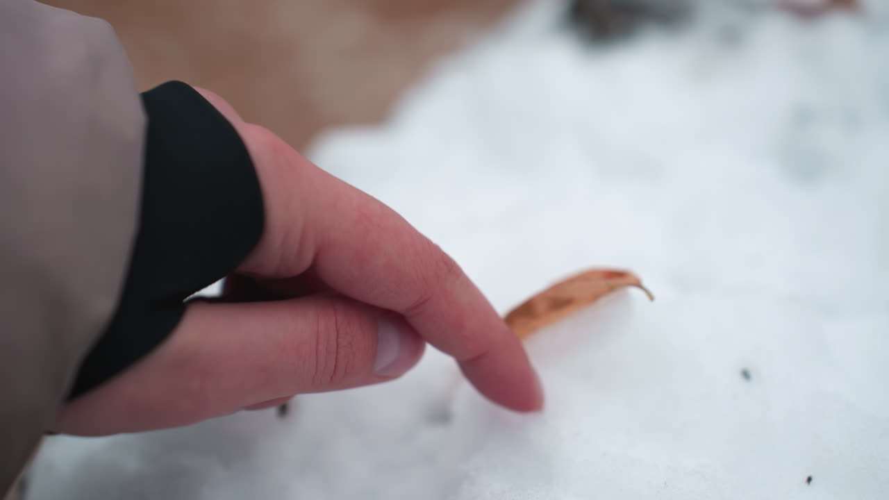 primer plano de la mano de la mujer en el traje de invierno presionando en la nieve suave en la superficie de madera, la hoja seca descansa sobre la nieve, añadiendo contraste al paisaje congelado