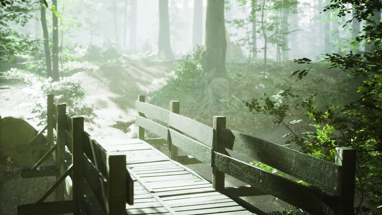 Wooden bridge surrounded by lush greenery in a misty forest landscape