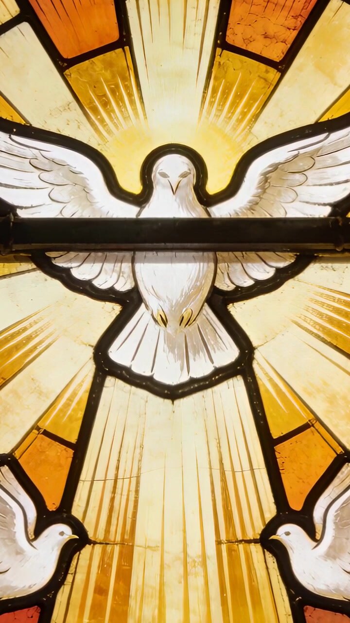 Vertical video: Tilting phone filming stained-glass dove at church, revealing sunburst halo and rod
