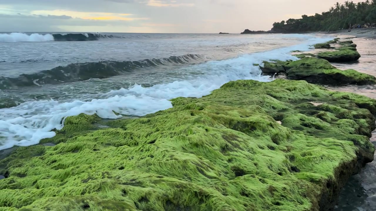Onde dell'oceano che si infrangono su rocce ricoperte di muschio verde brillante su una spiaggia tropicale