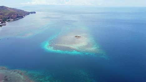 dron aéreo que se eleva con vistas a la biodiversidad marina