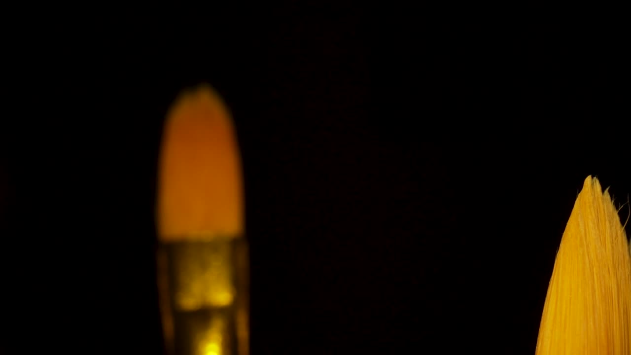 pinceles sobre un fondo negro