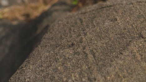 Close-up-slide-along-the-surface-of-a-large-granite-boulder