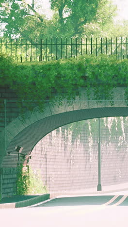 a brick archway over a street, covered in vines and surrounded by trees