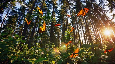 monarch butterflies in a forest at sunrise/sunset