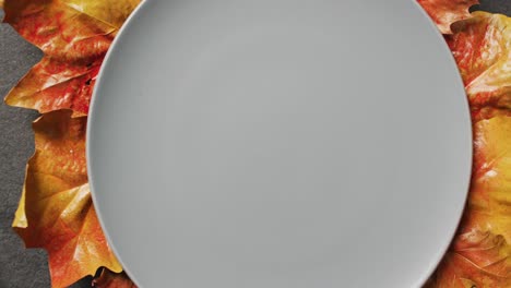 video of plate with autumn leaves and decoration lying on grey surface